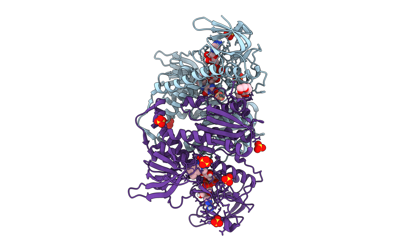 6I4U image