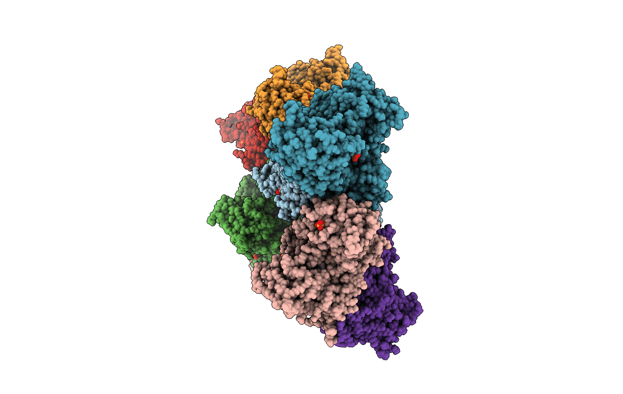 6I4Z image