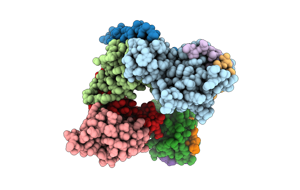 6I5N image