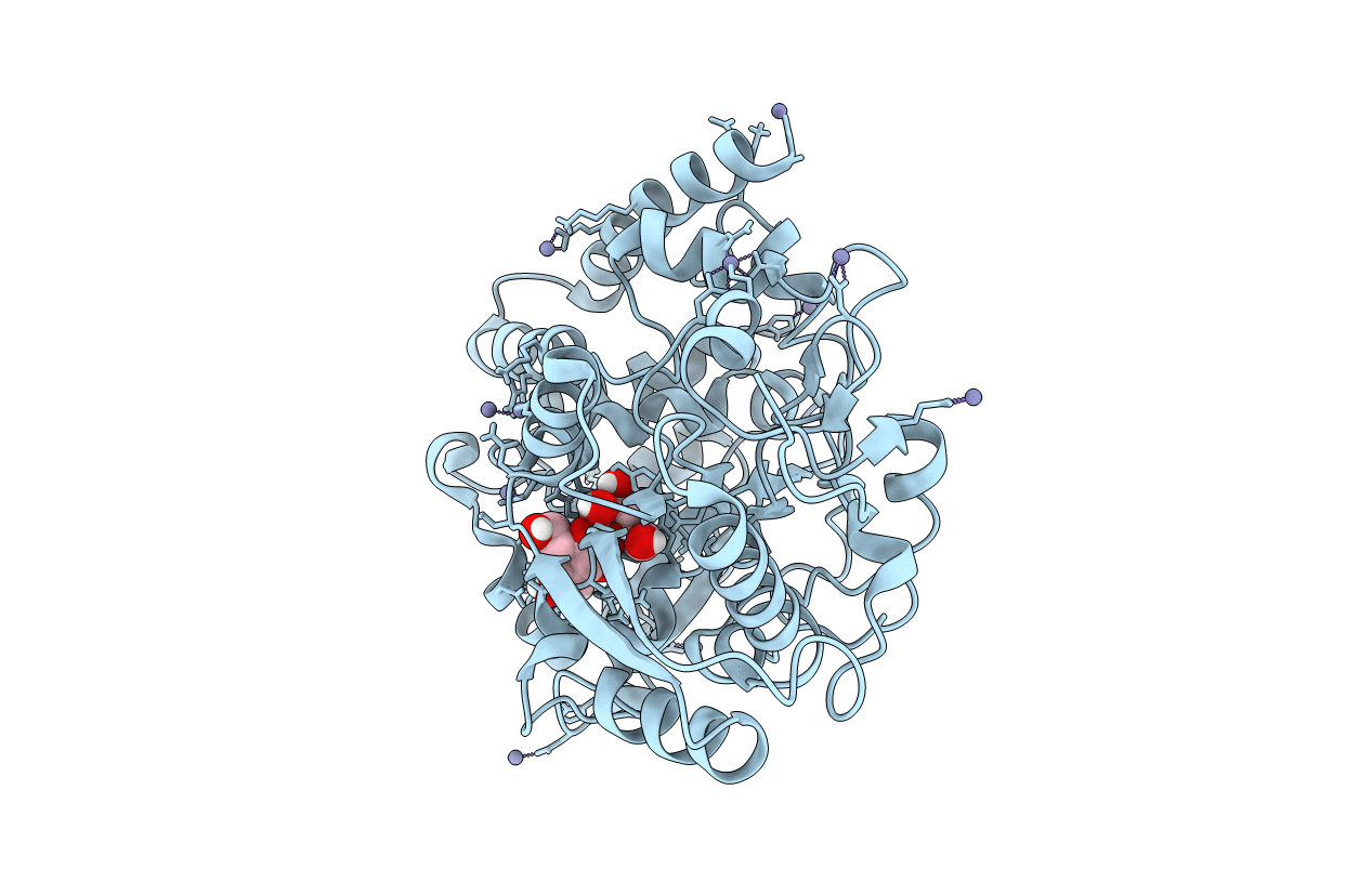 6I5R image