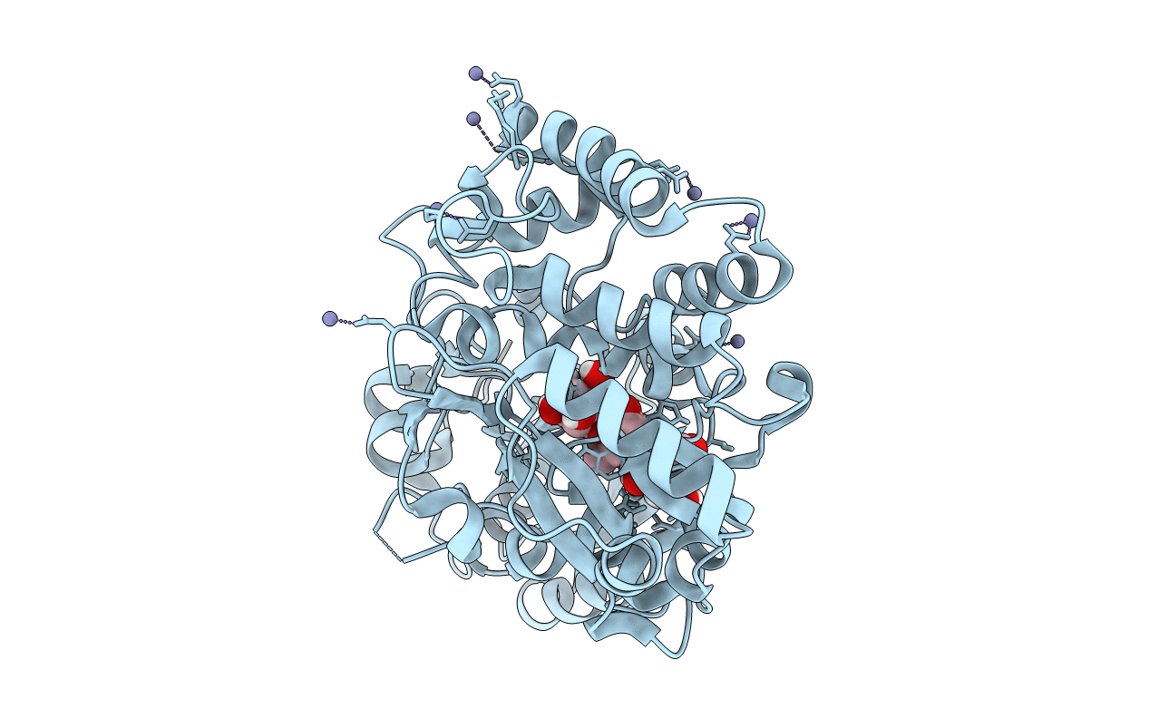 6I5V image