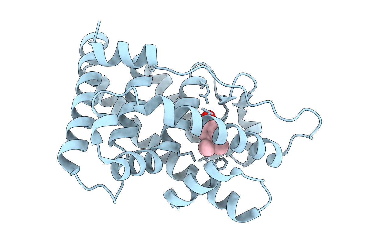 6I63 image