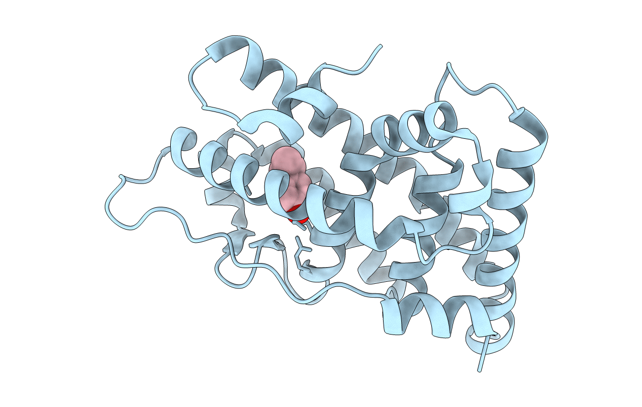 6I65 image
