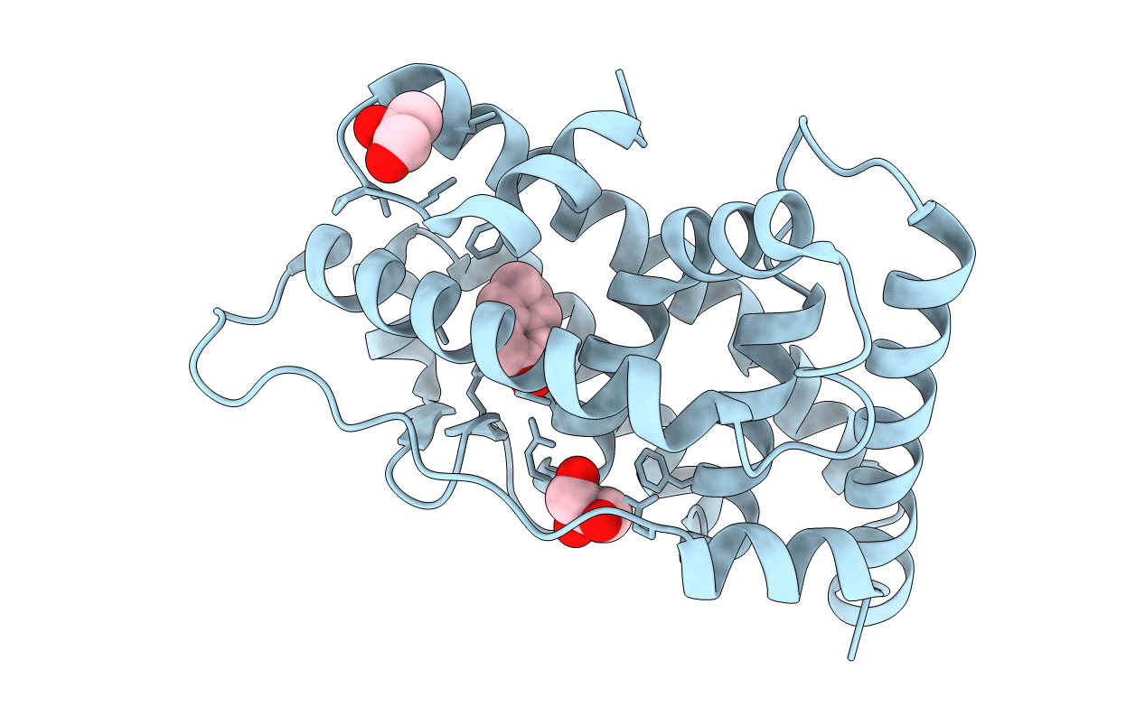 6I67 image