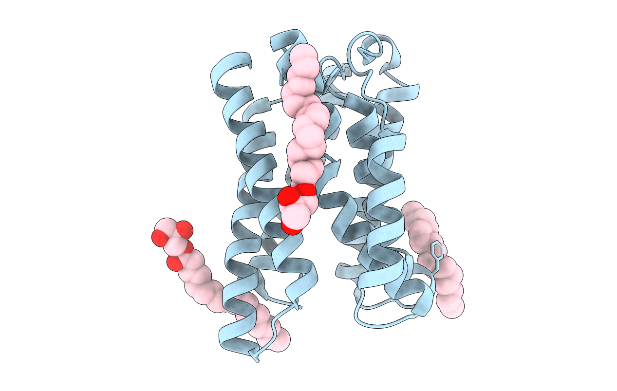 6I6B image