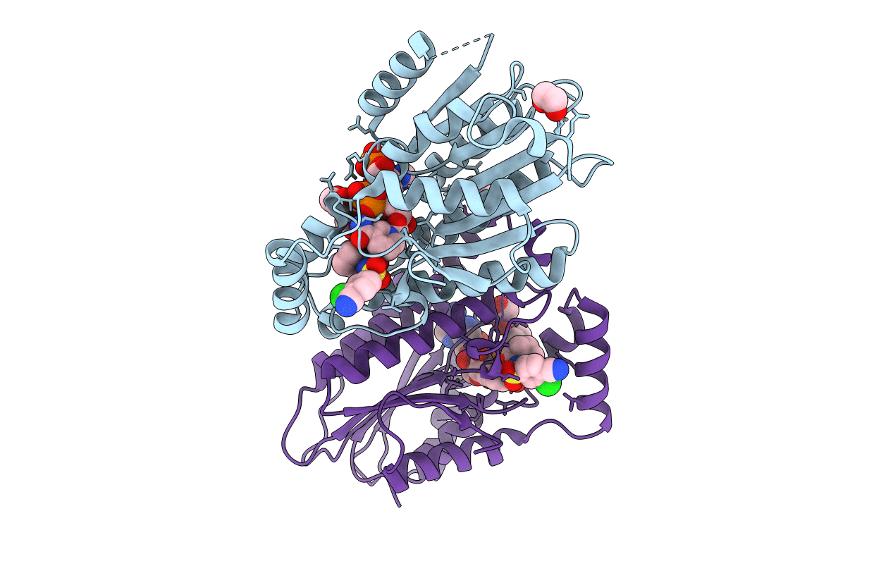 6I6C image