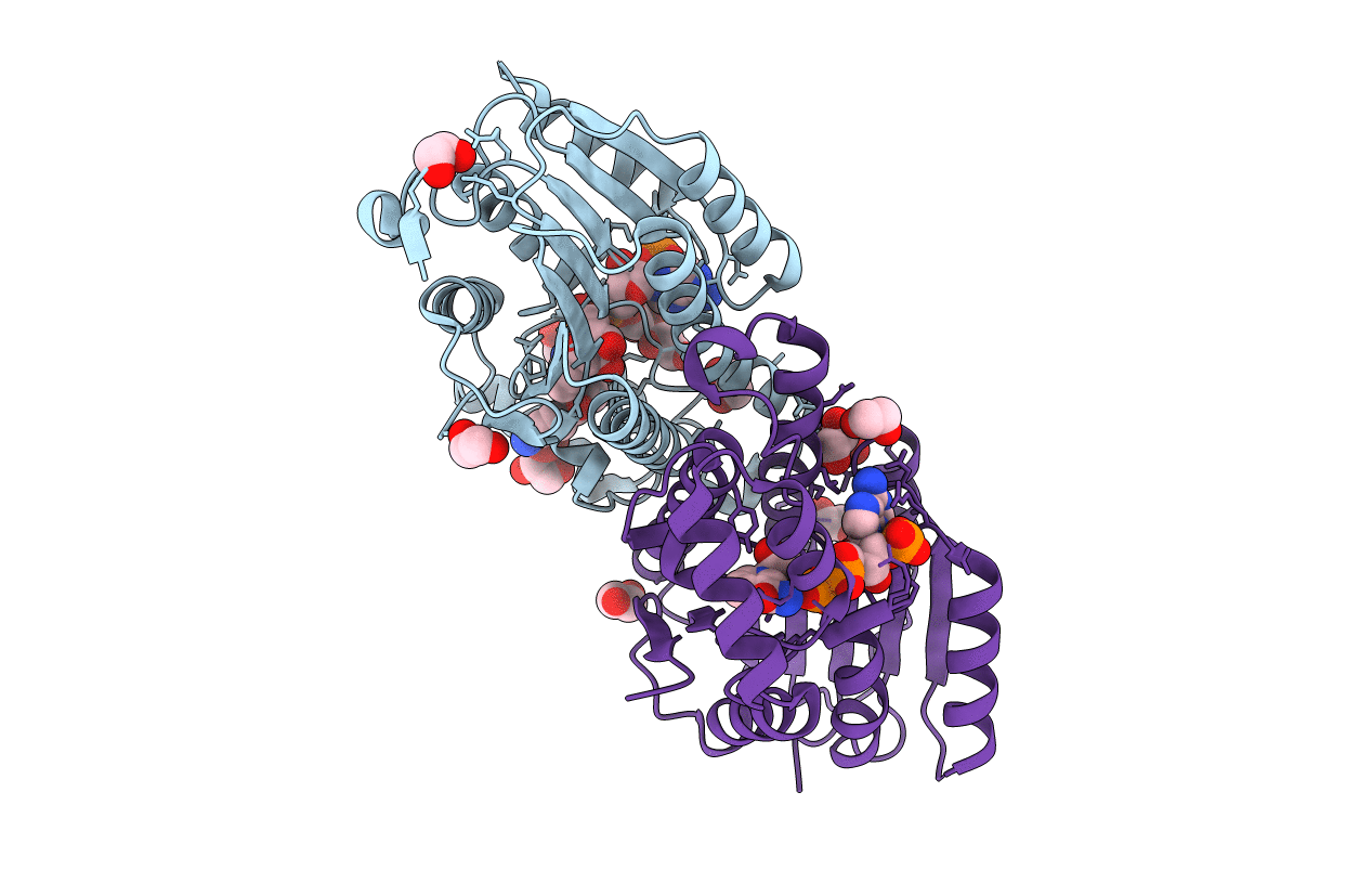 6I6F image