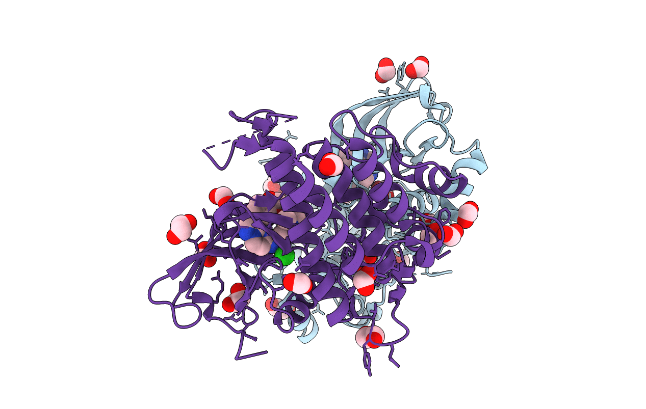 6I82 image