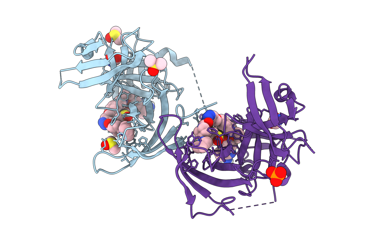6I8B image