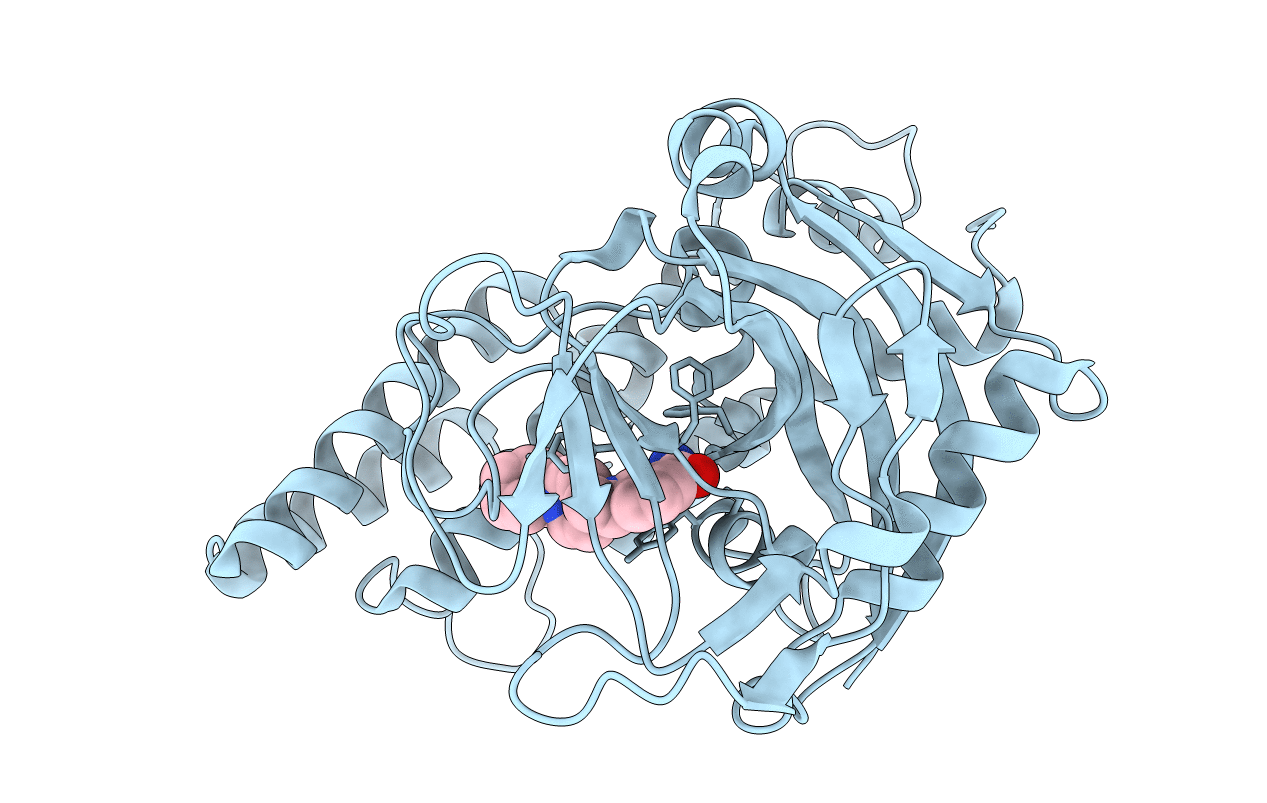 6I8T image