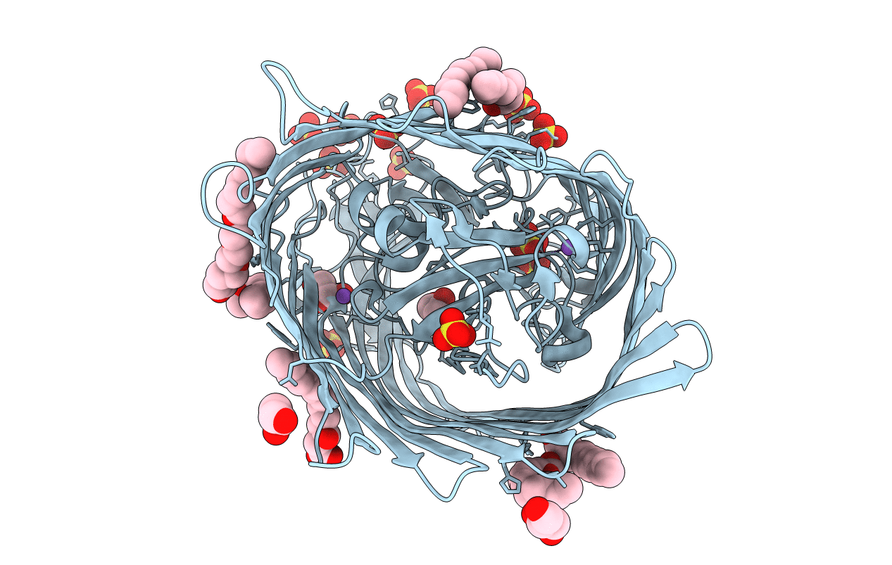6I98 image