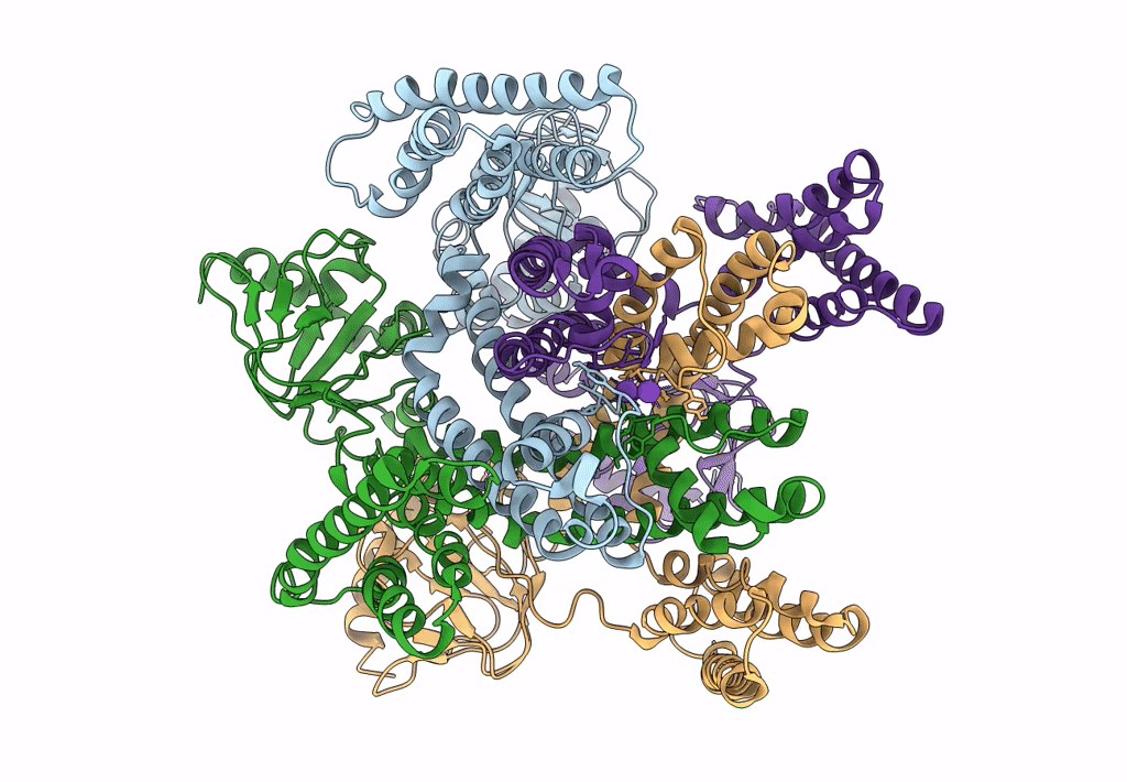 6I9D image