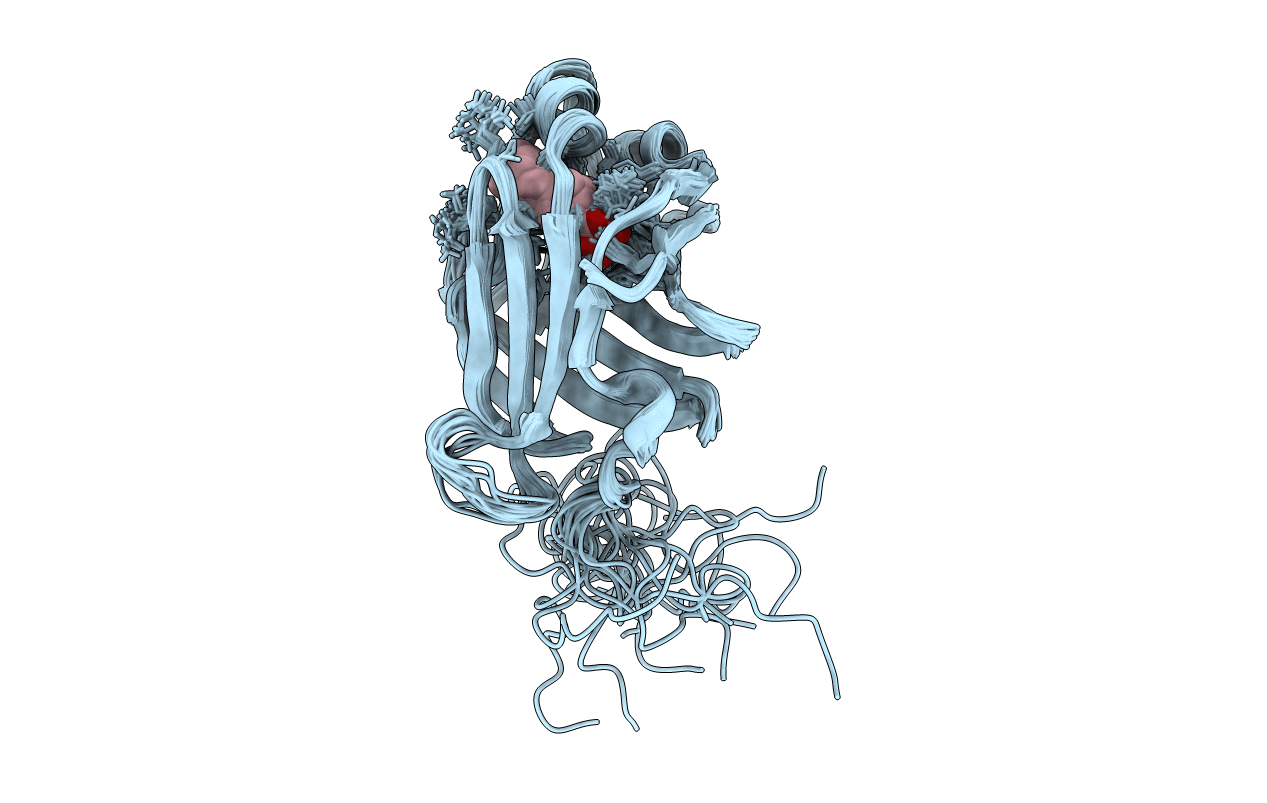 6I9F image