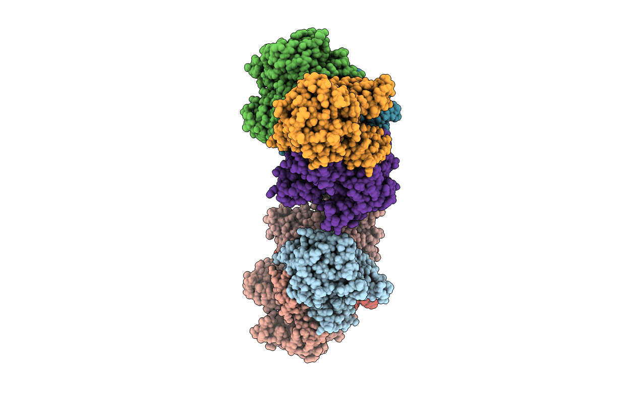 6I9V image