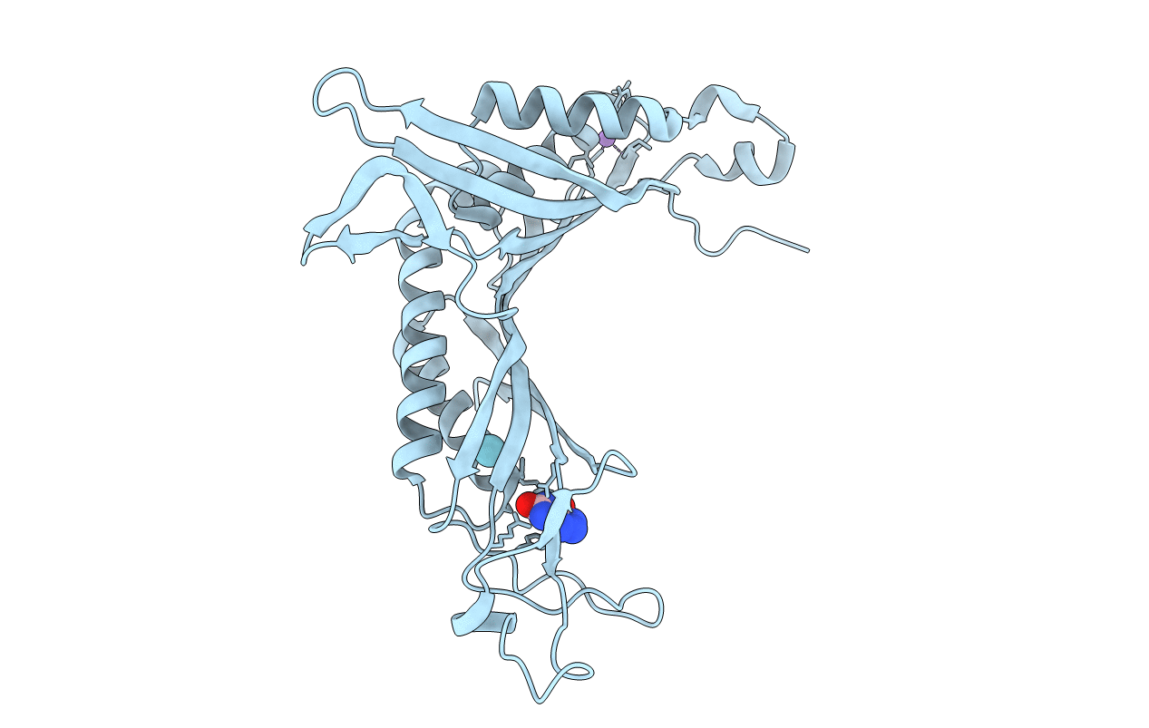 6I9Z image