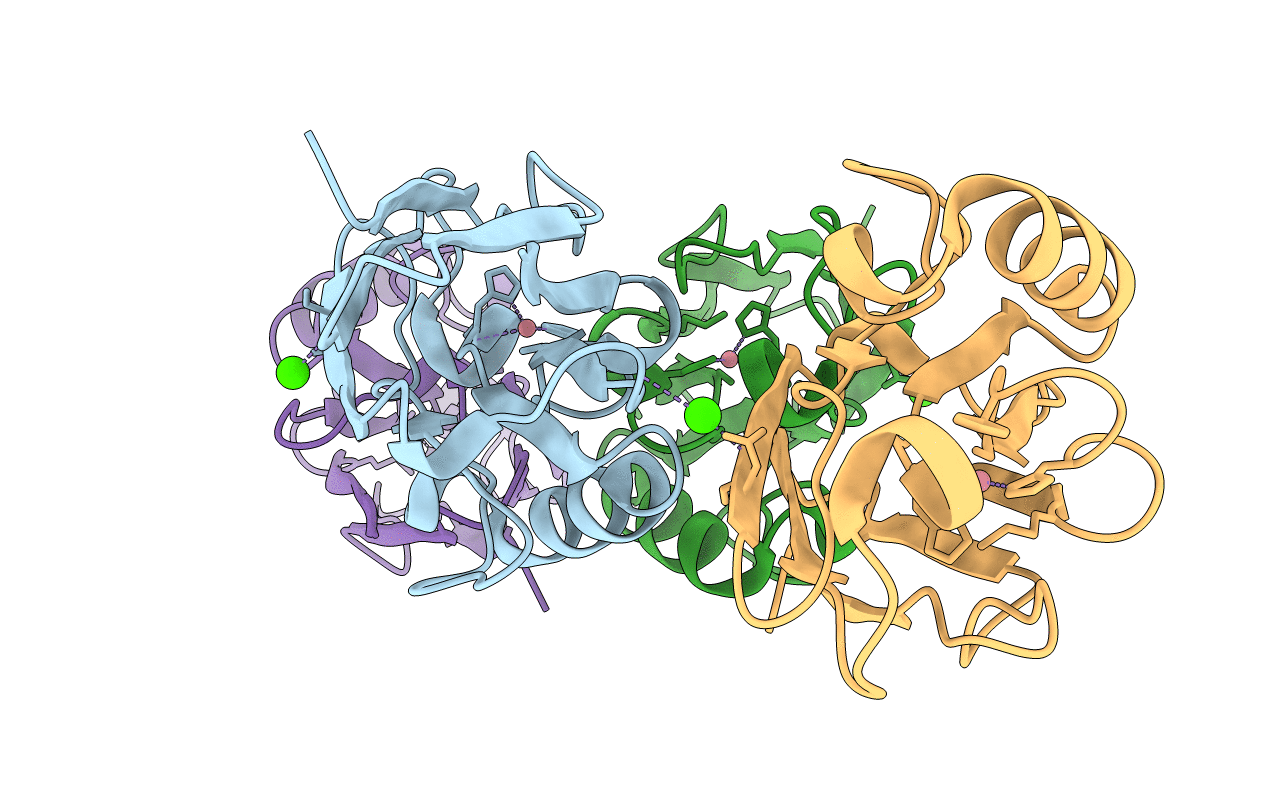 6IAV image