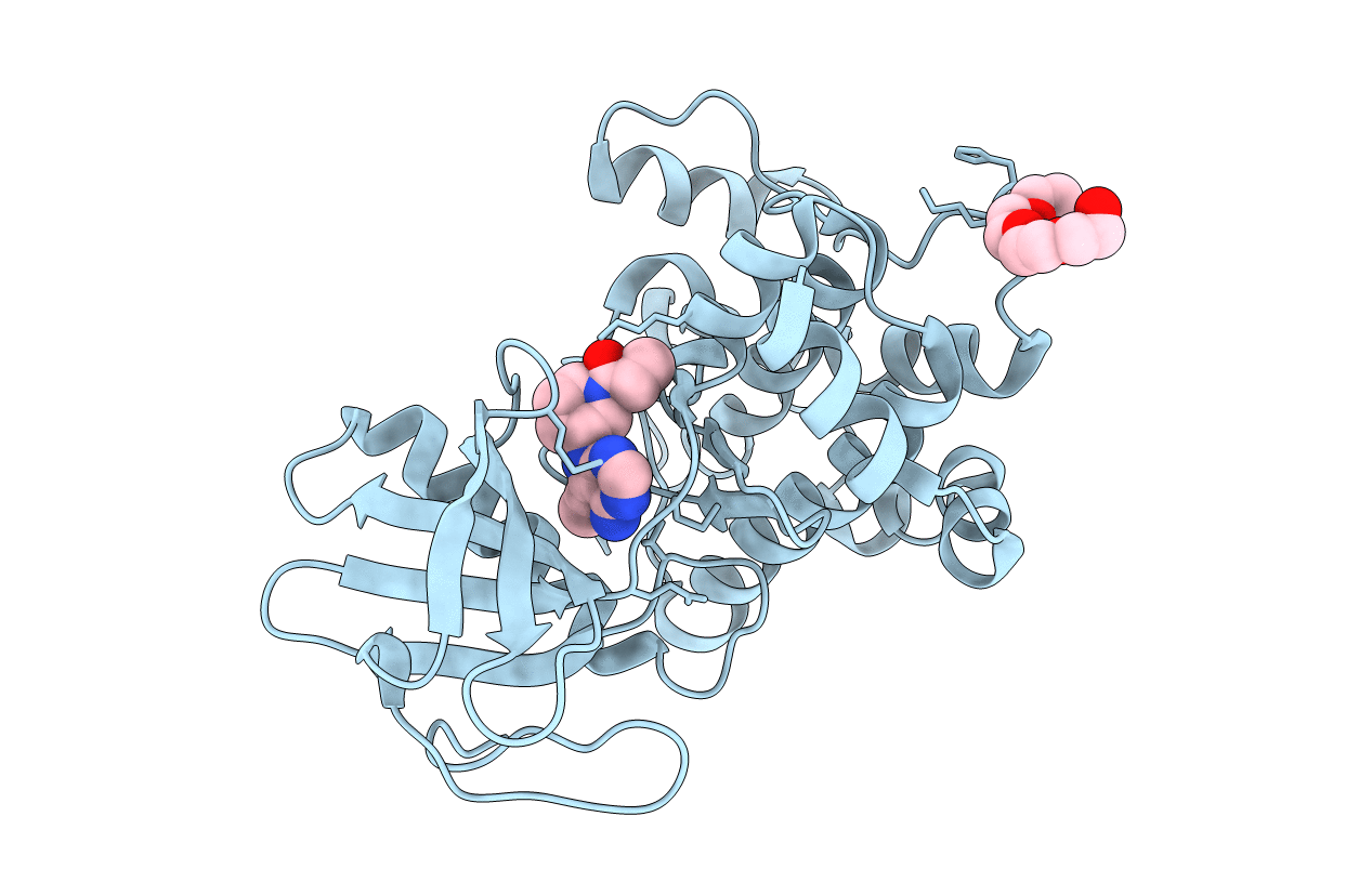 6IB0 image