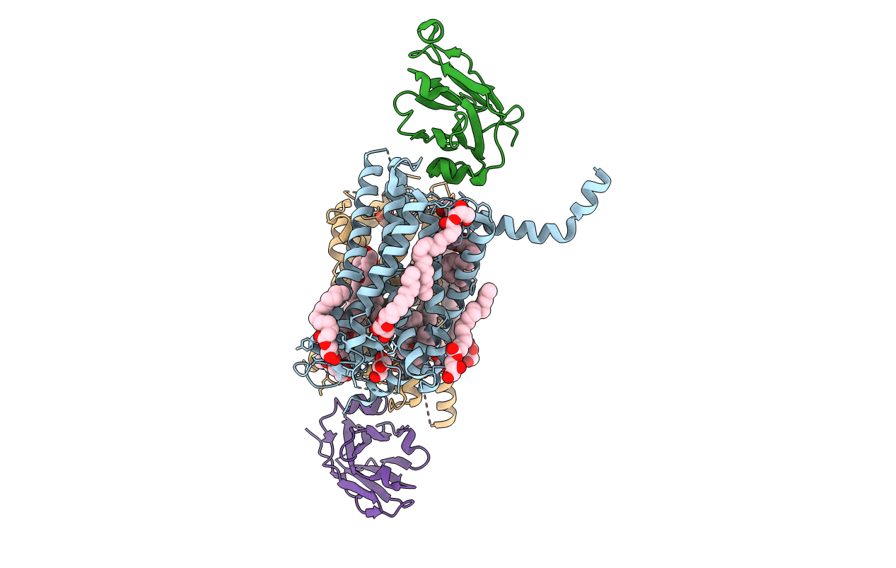 6IBB image