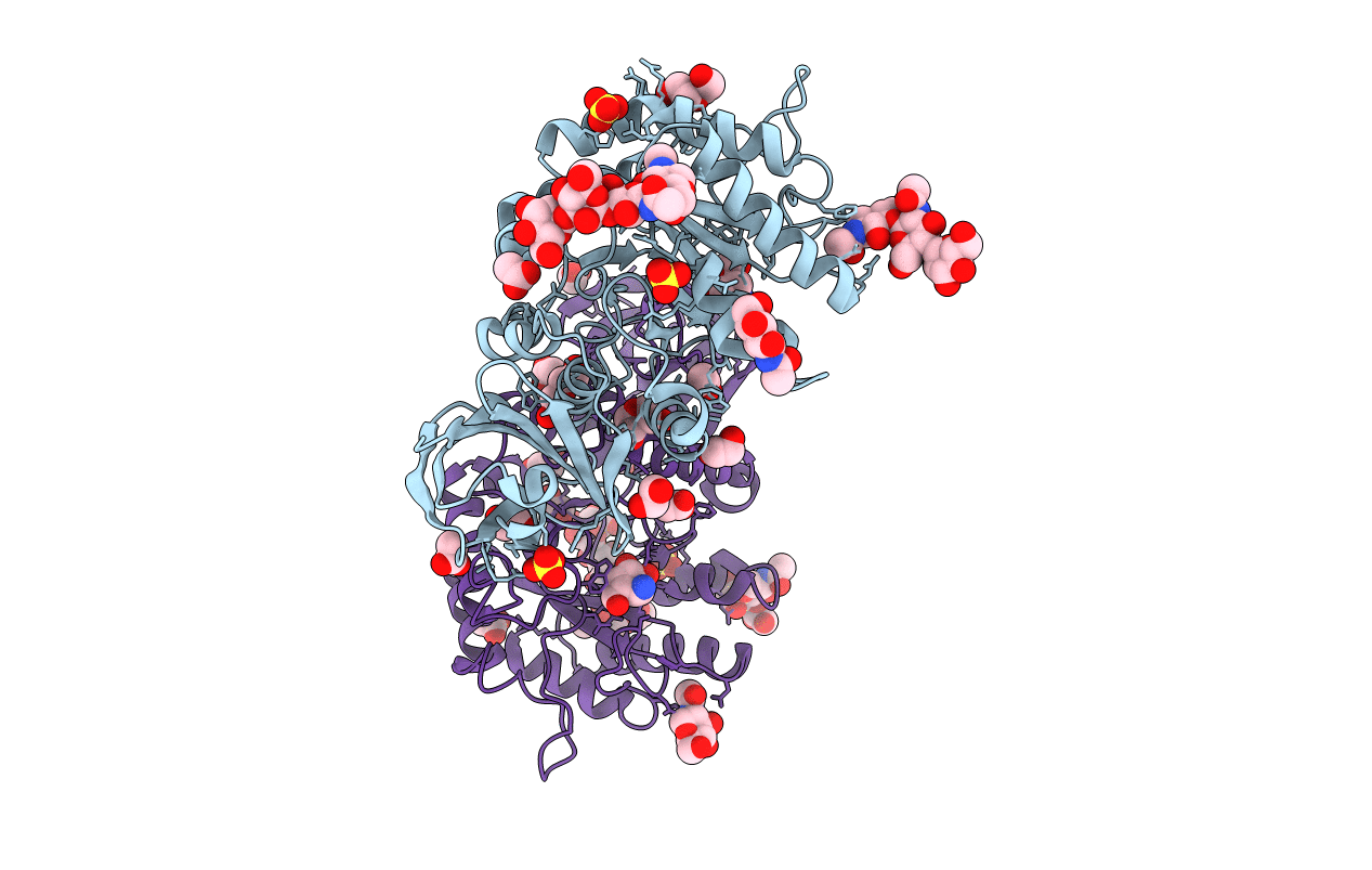 6IBT image