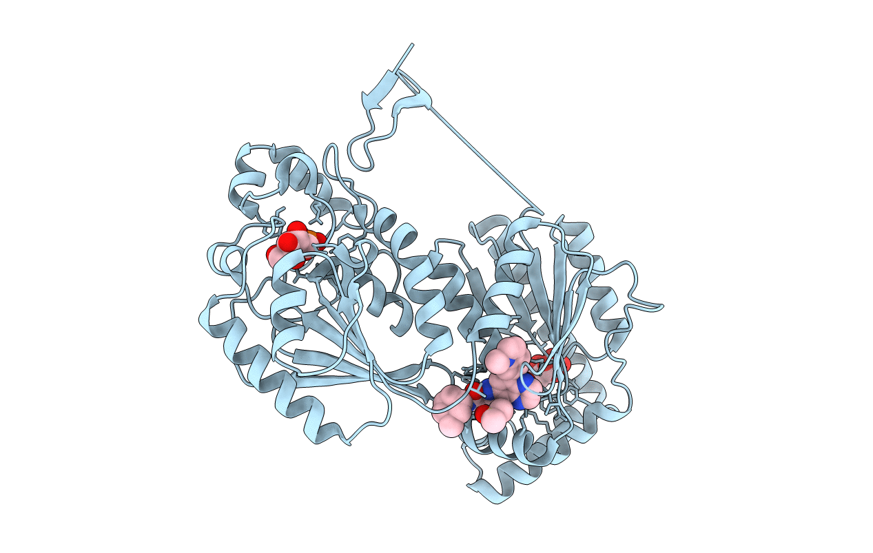 6IBX image