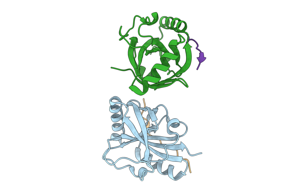 6IC9 image