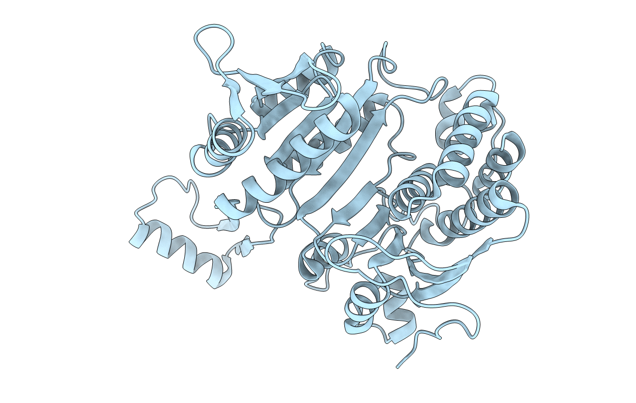 6ICD image