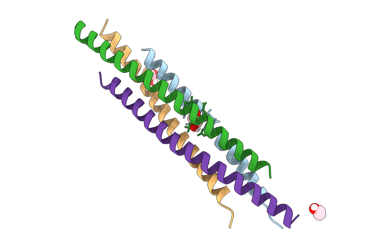 6ICR image