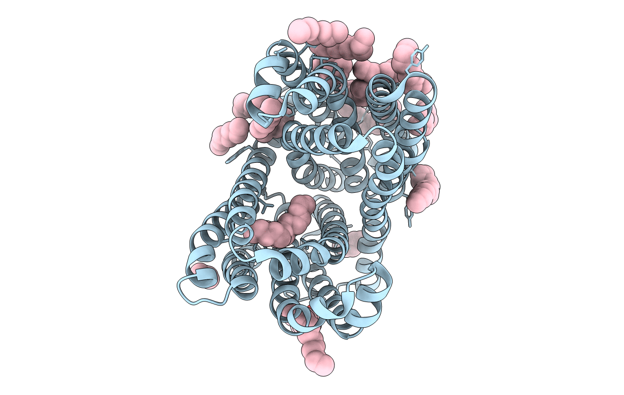 6IDP image