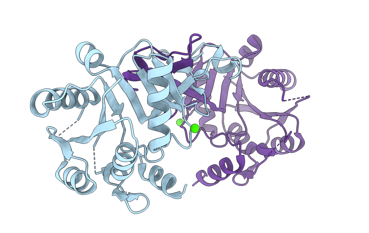 6IFI image