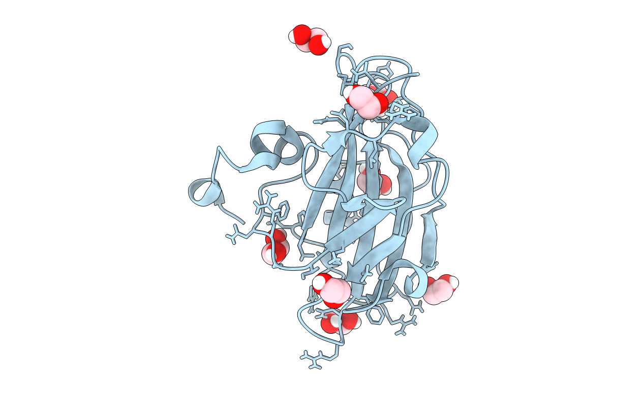 6IGG image