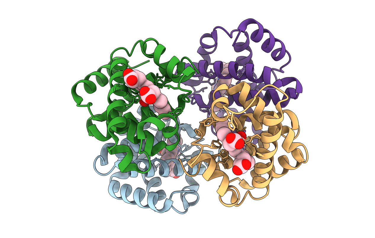 6IHX image