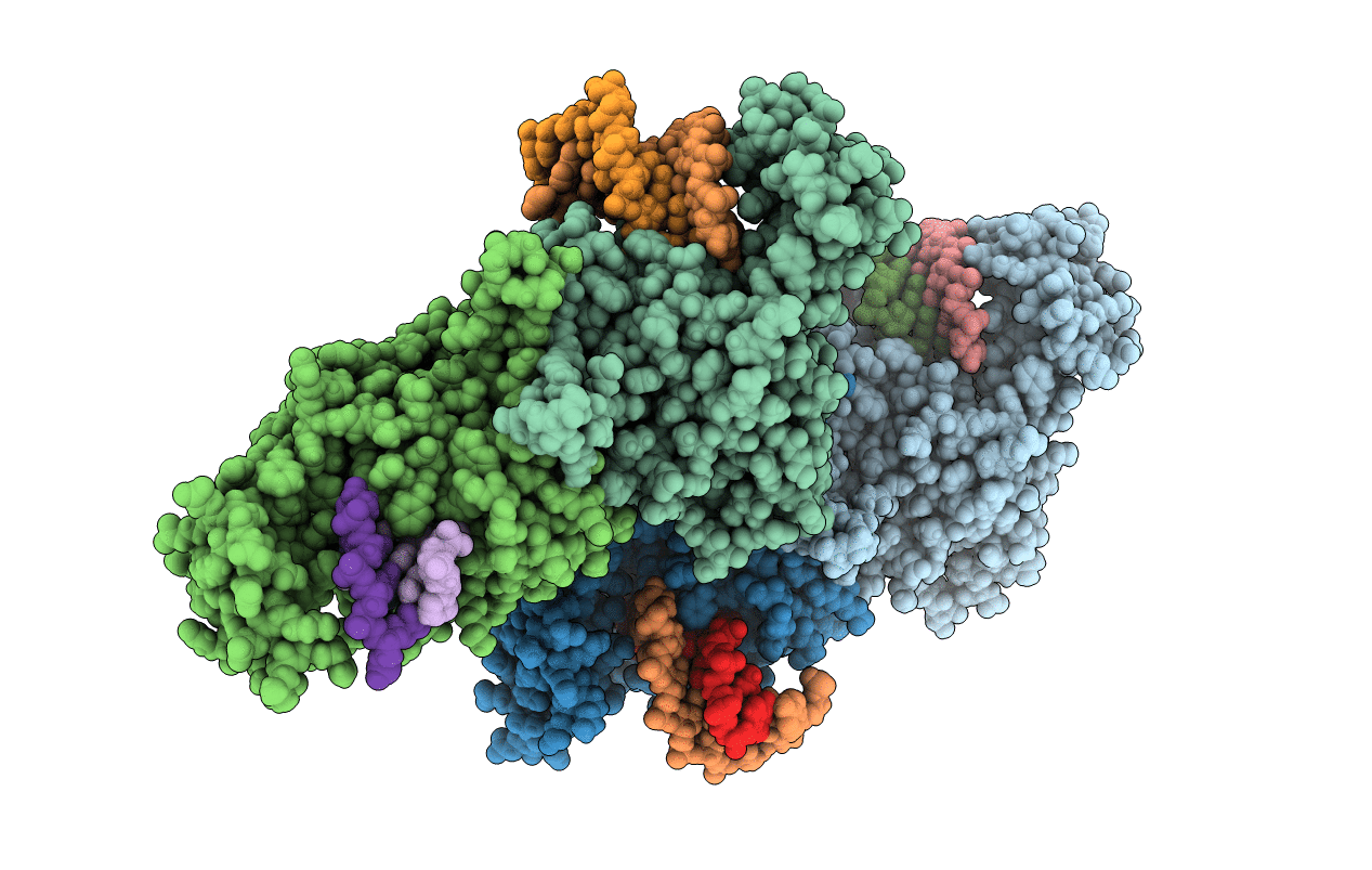 6IID image