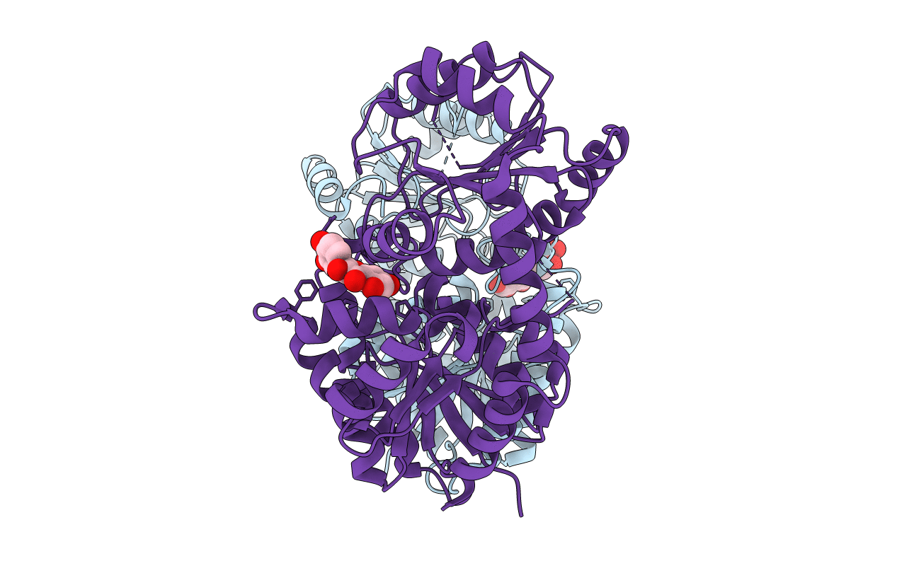 6IJD image
