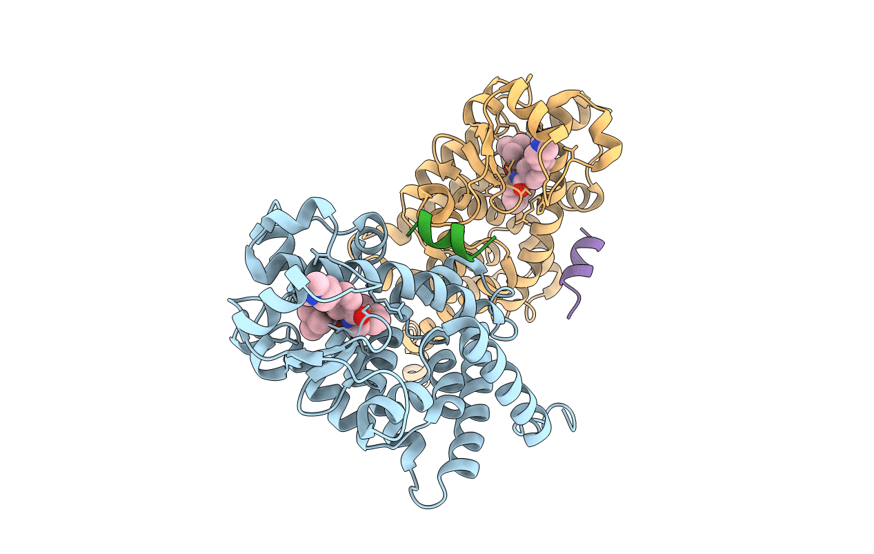 6IJR image