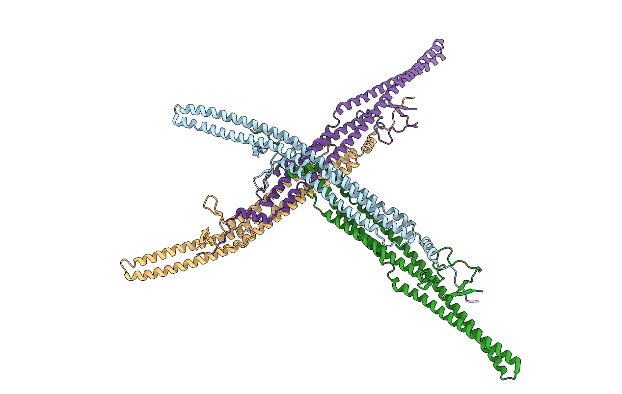 6IKN image