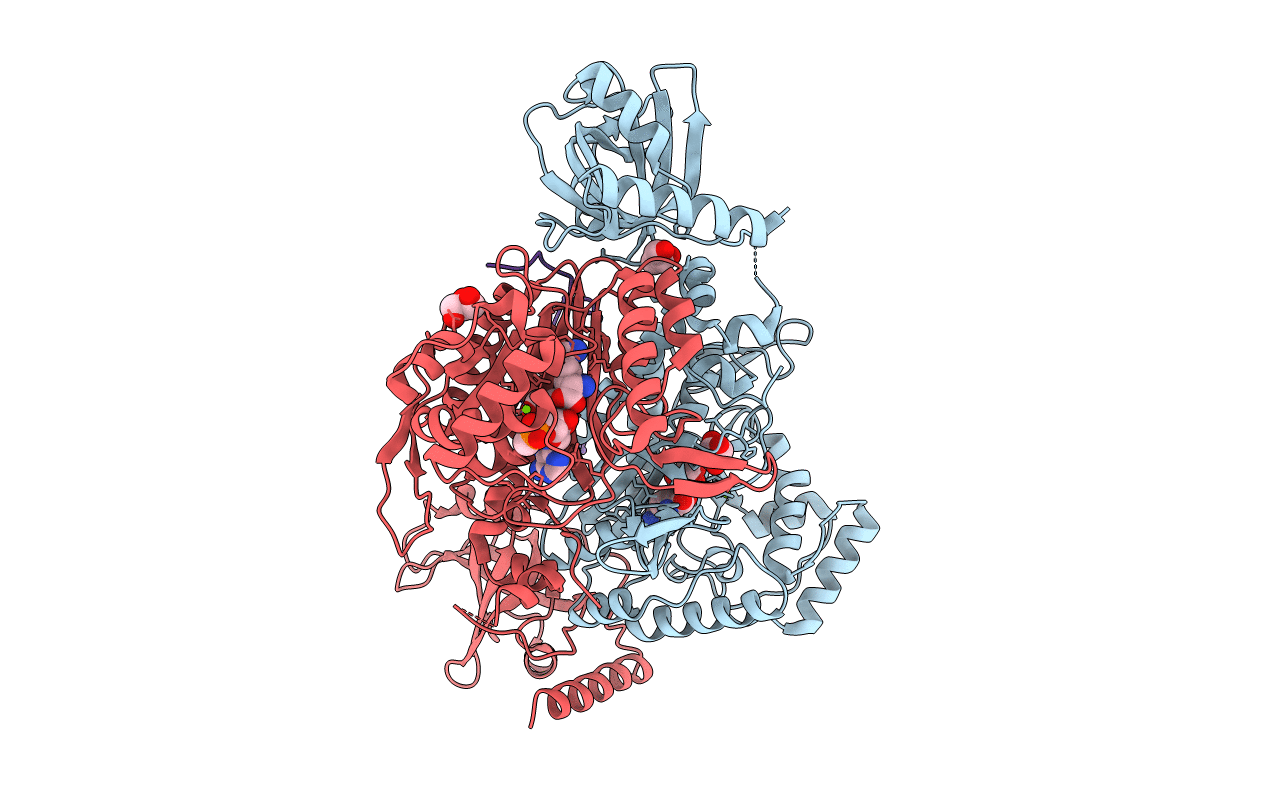 6ILD image