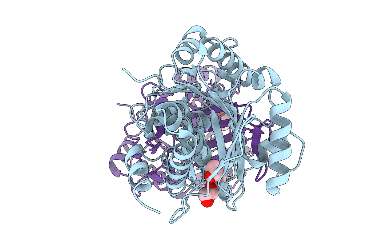 6ILR image