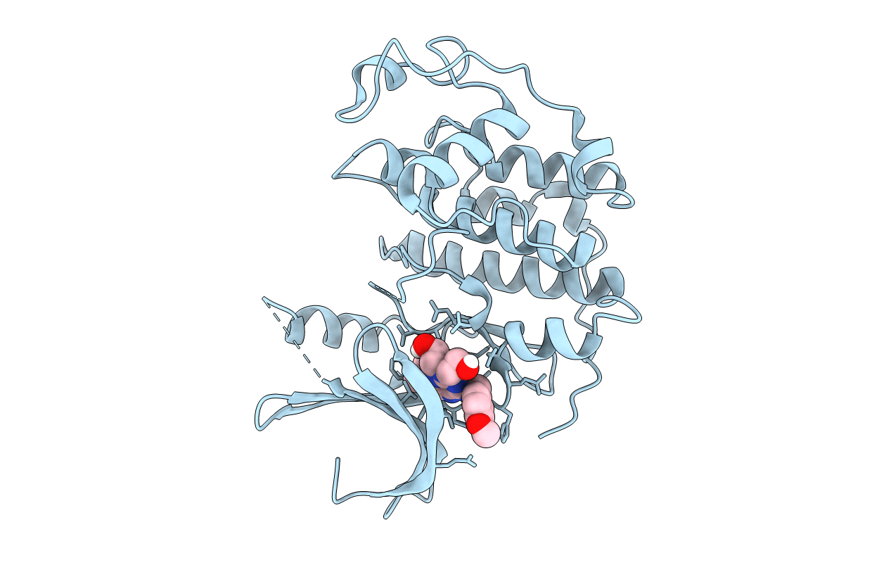 6INL image