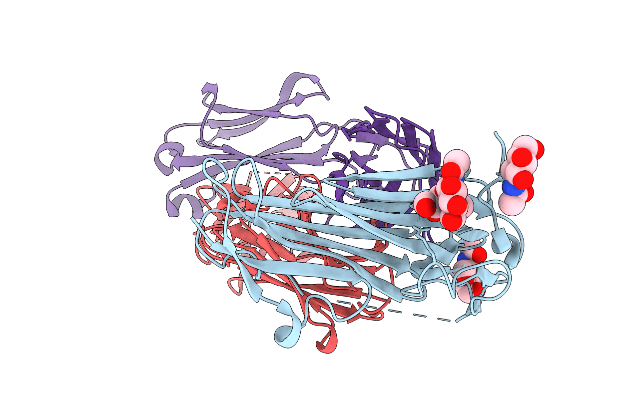 6ION image