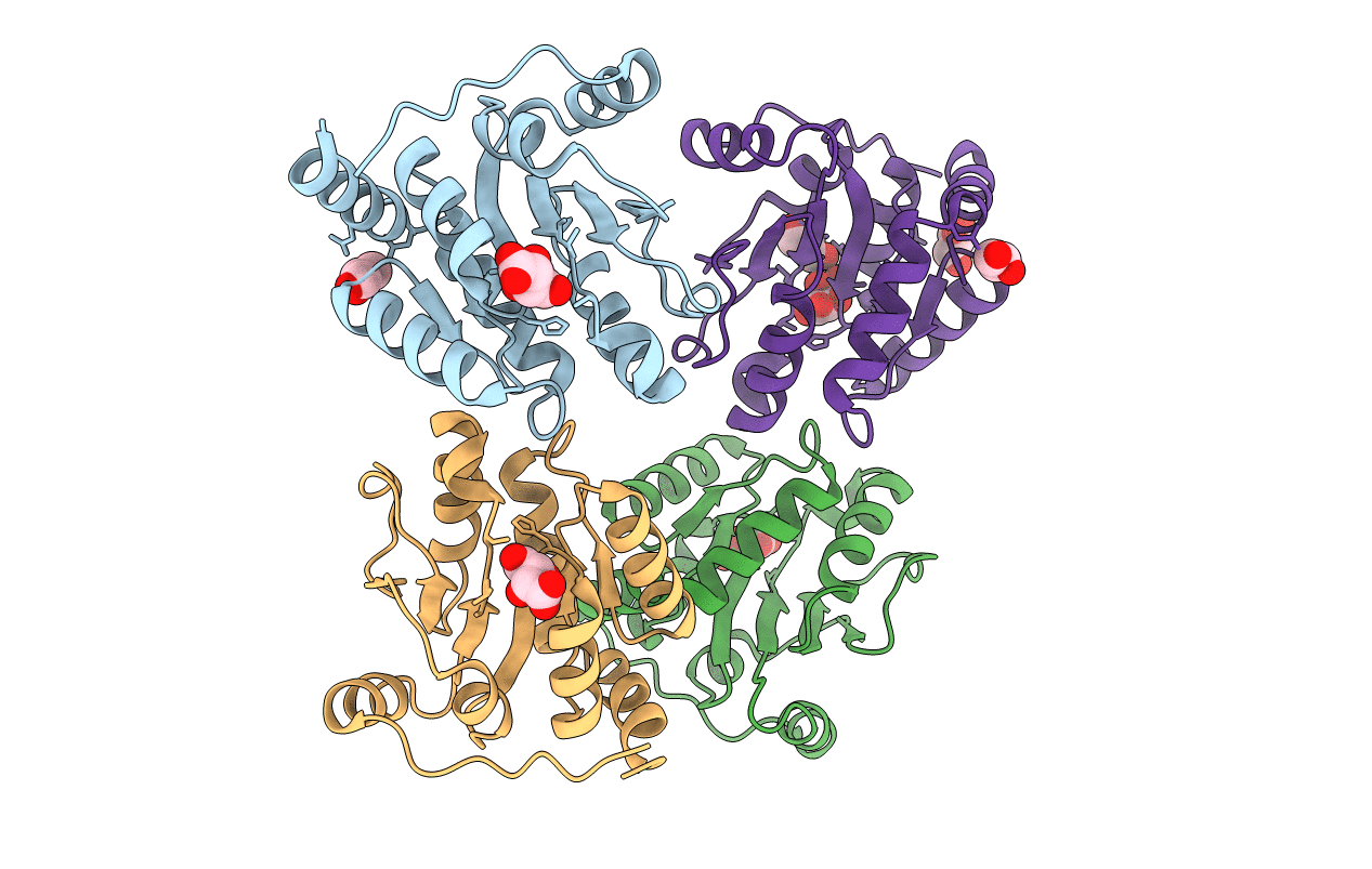 6IPB image