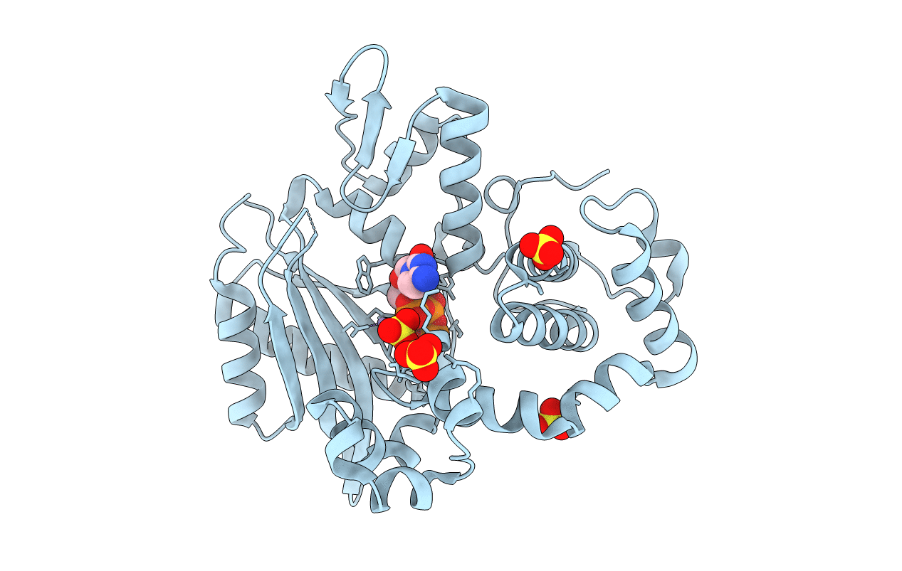 6IPI image