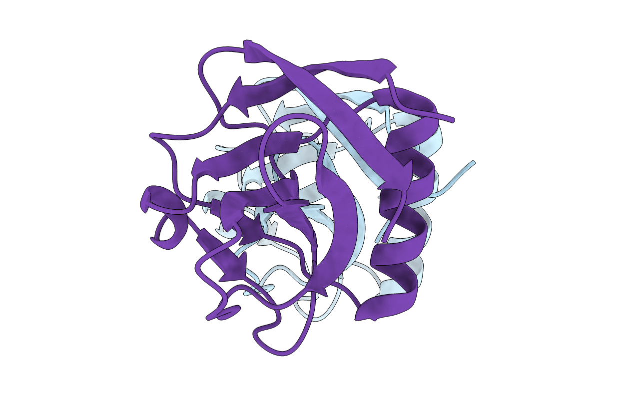 6IVD image