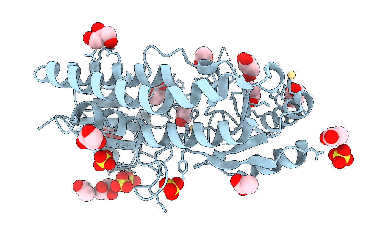 6IXI image