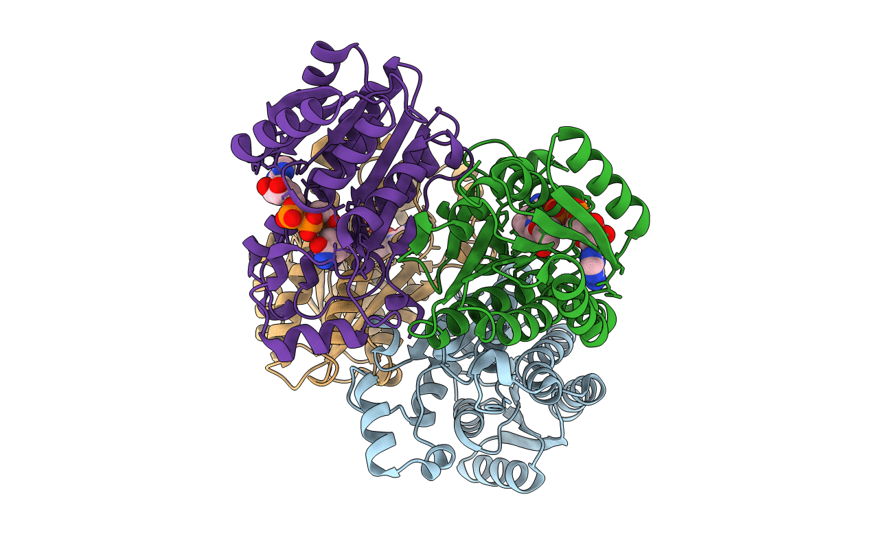 6IXM image