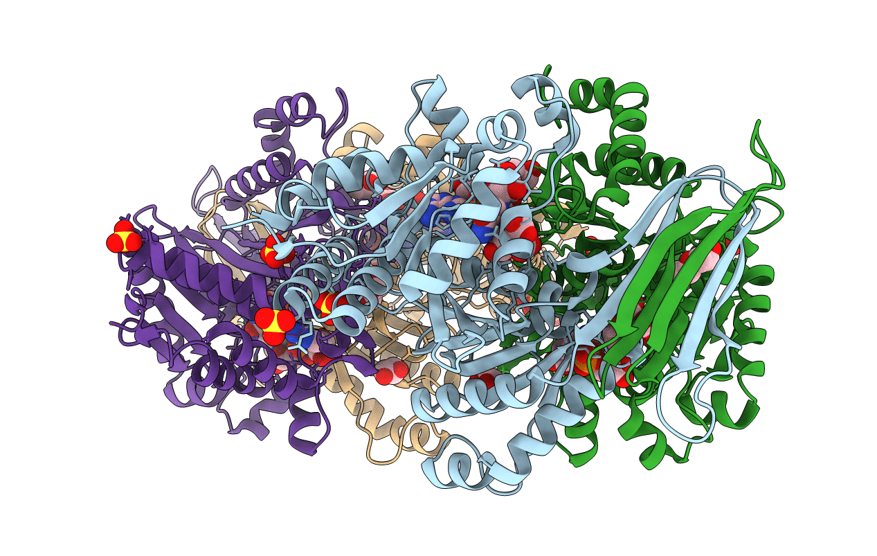 6IXN image