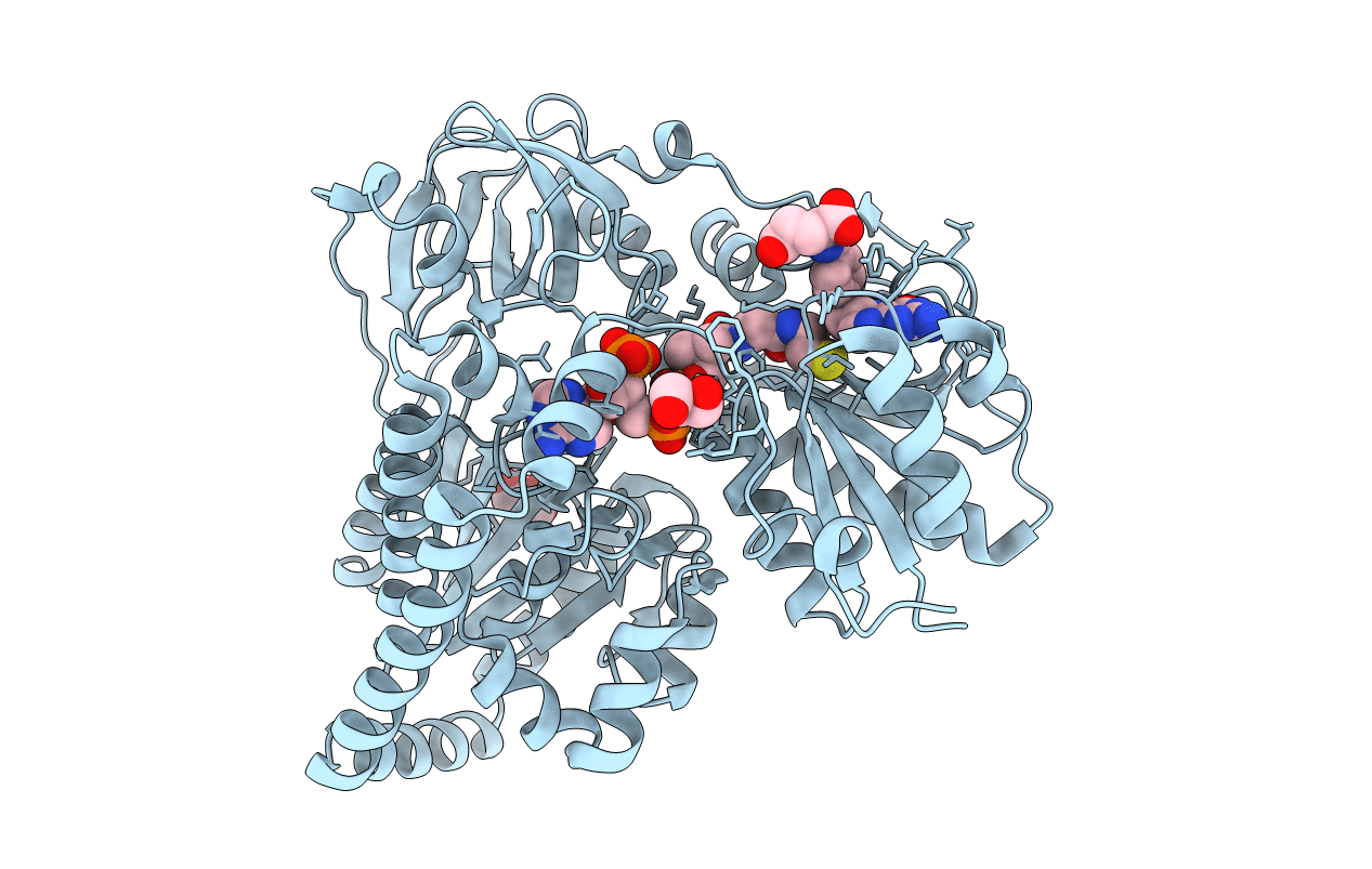 6J1J image