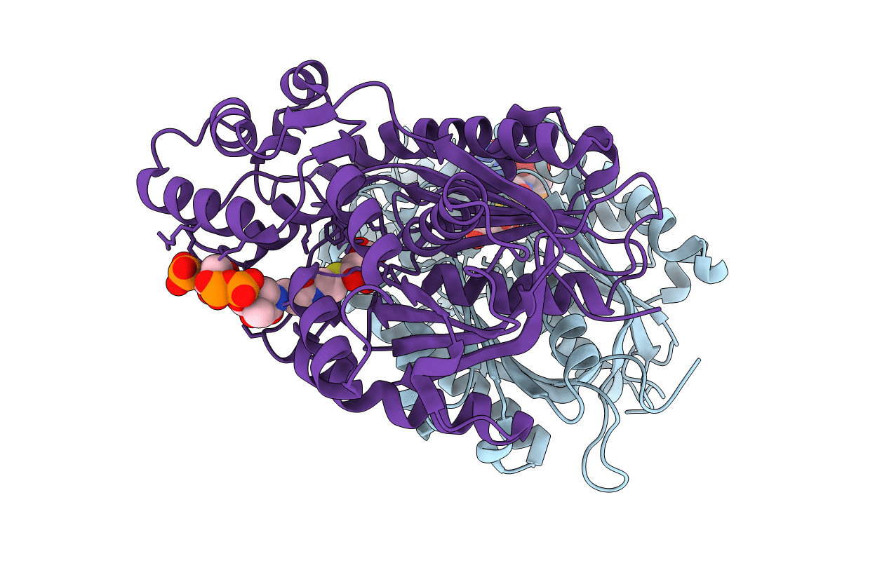 6J1N image