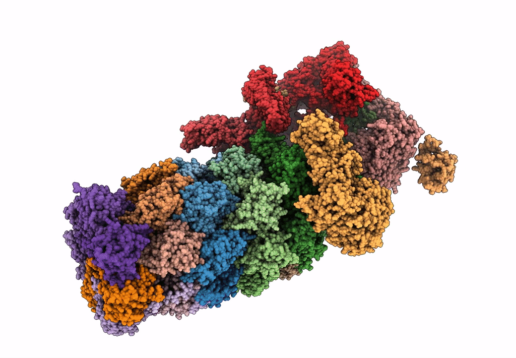 6J2C image