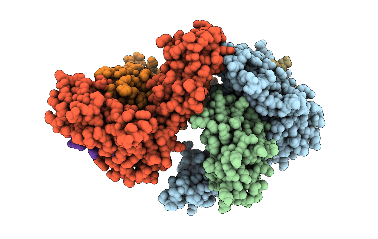 6J2E image