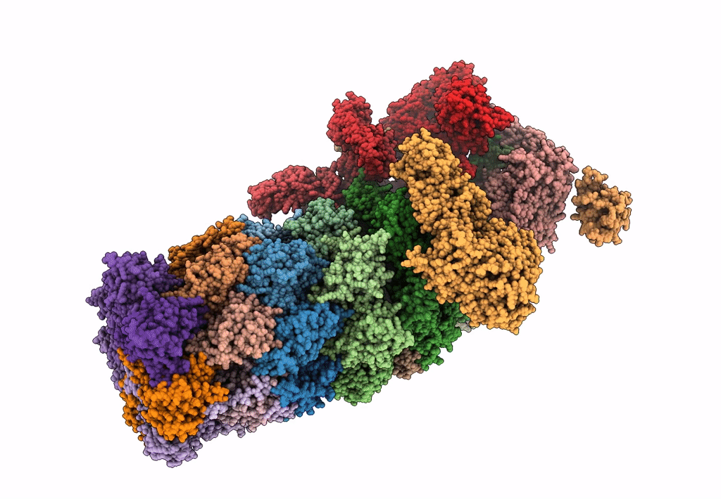 6J2N image